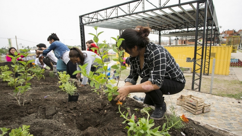 Programa de Agricultura Urbana