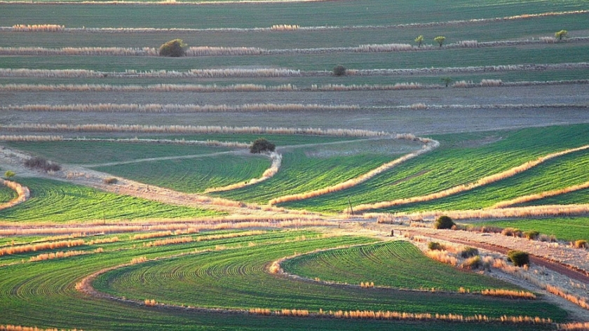 La reforma agraria de Sudáfrica avanza a mayor velocidad