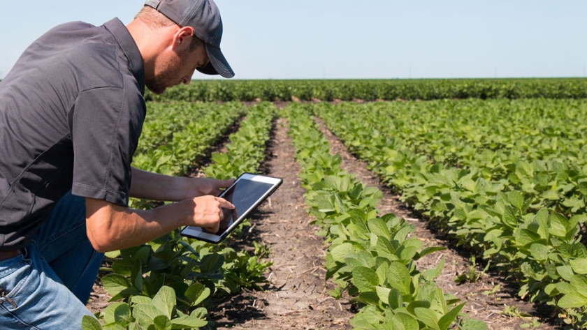 El SENASA lleva adelante el Registro Nacional de Productores Agropecuarios