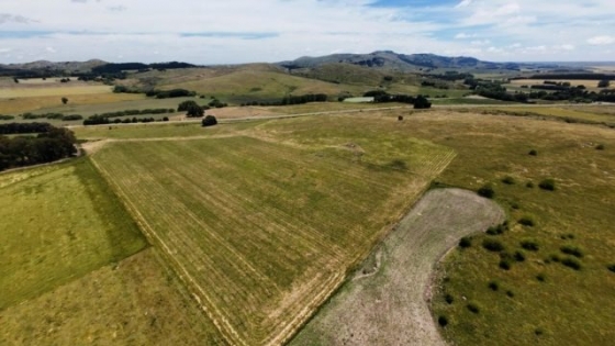 Venta de campos: advierten que la falta de estrategia puede reducir el valor final de la operación