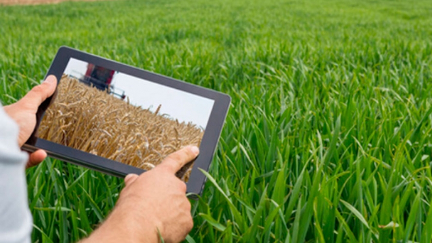 Lanzan convocatoria para desarrollar el sector AgTech