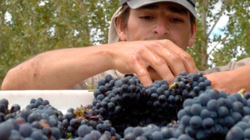 De qué se trata el nuevo modelo para financiar actividades agropecuarias