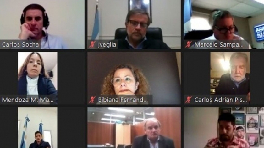 Entre Ríos participó en la asamblea virtual del Consejo Nacional de la Vivienda