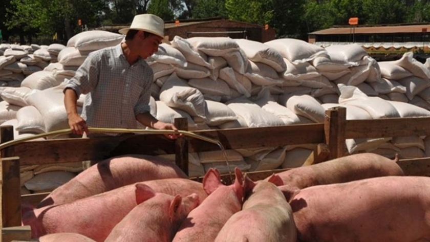 Líneas de créditos paras las PyMES agropecuarias