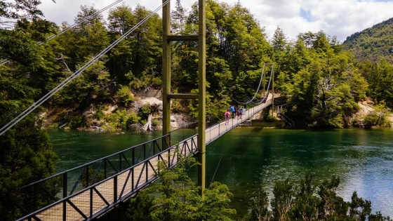 Nuevo tramo de la Ruta 40: un camino turístico a través del Parque Nacional Los Alerces