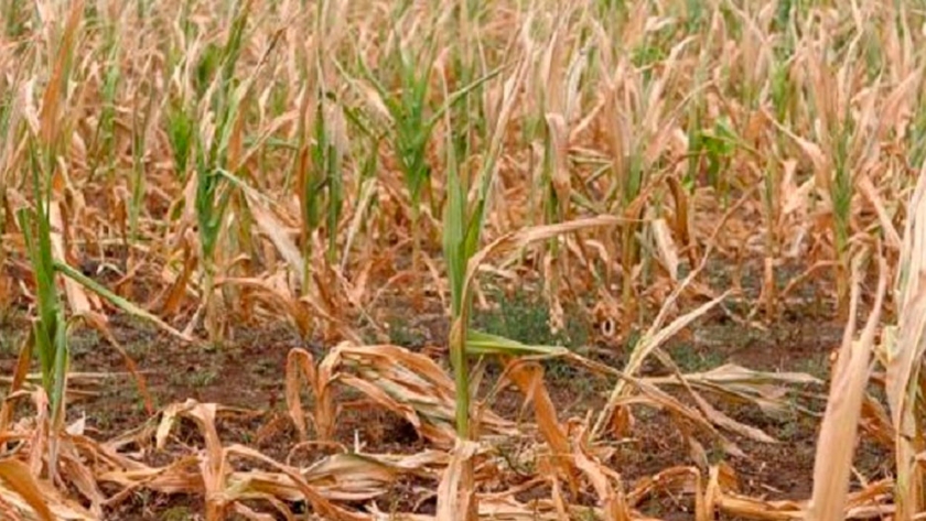 La falta de lluvias se agudizaría durante el 2021