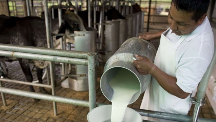 La producción de carne de res y leche en México creció en promedio 2%