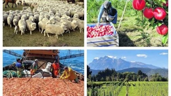 Patagonia fortalece su estatus sanitario y consolida su acceso a los mercados más exigentes del mundo