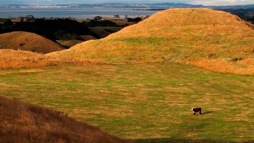 Auckland presenta proyectos ambientales para la recuperación económica 