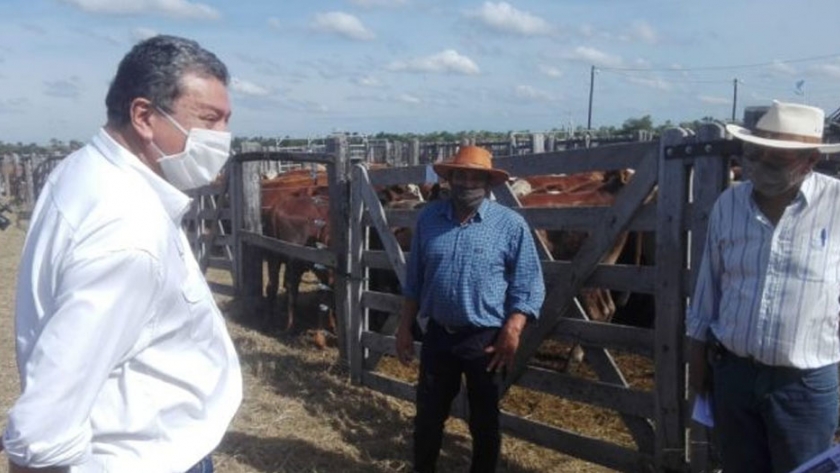 Quintana: "El sector agropecuario y agrícola no dejó de producir"