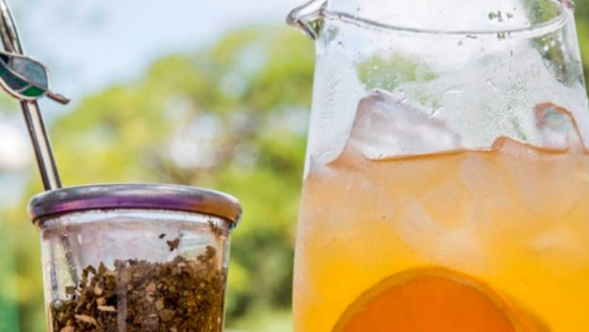Degustando Tereré