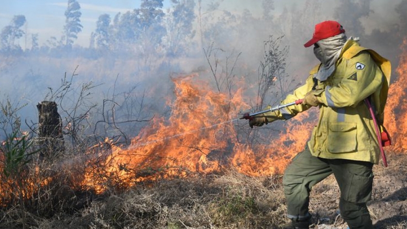 Cuidados para evitar incendios forestales