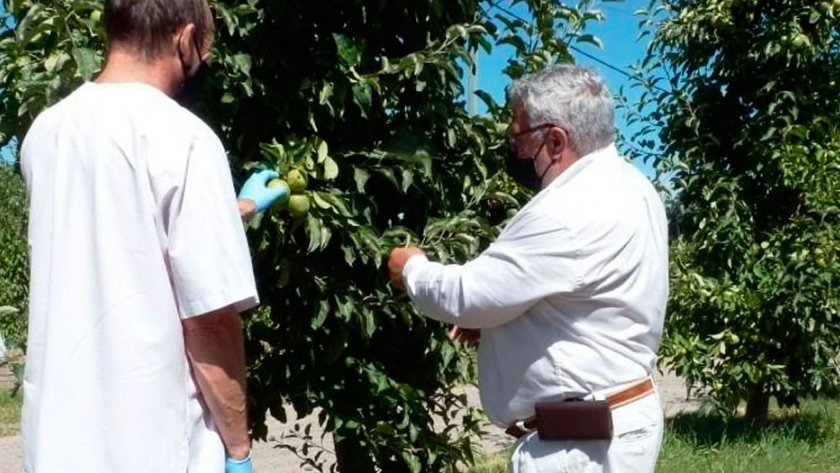 En el 2020, Chubut avanzó en políticas de sanidad vegetal junto a productores e instituciones