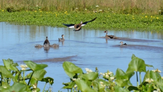 Reserva Natural y Museo de San Antonio de Areco