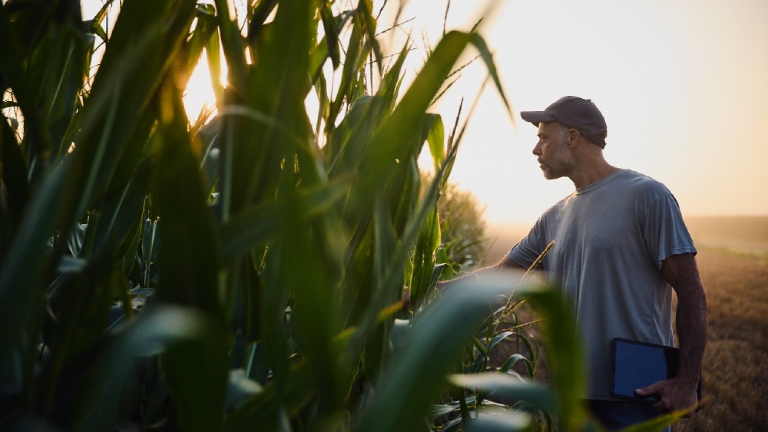 Bayer en Aapresid 2026: innovación para los desafíos productivos de hoy y del futuro