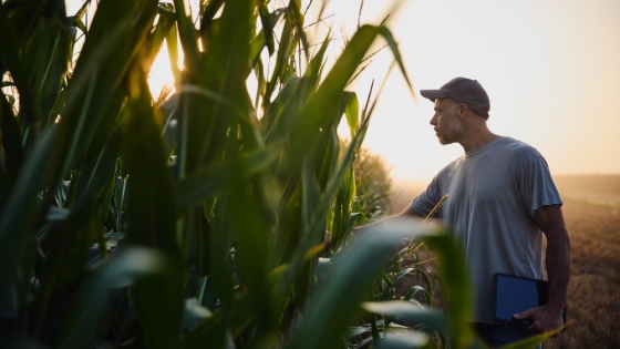 Bayer en Aapresid 2026: innovación para los desafíos productivos de hoy y del futuro