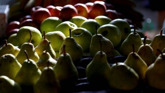 Balance de las exportaciones de peras y manzanas
