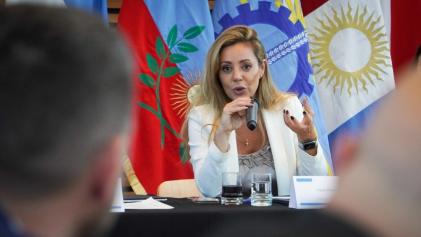 Royón presidió la reunión plenaria del Consejo Federal de Energía