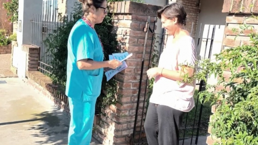 Prevención todo el año: campaña contra el dengue en marcha