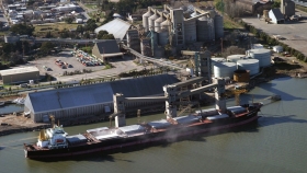 El agro aceleró la liquidación de divisas en enero y superó los USD 1.800 millones