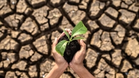 Un proyecto innovador busca recargar acuíferos con agua de lluvia y abre una alternativa frente a la sequía