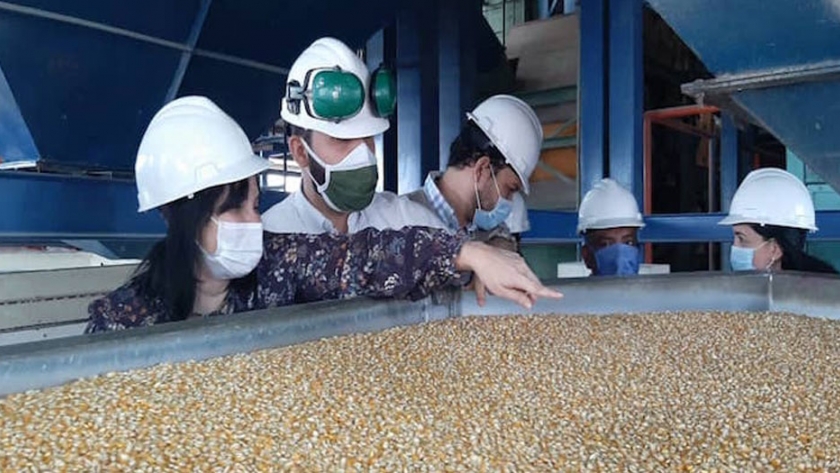 Venezuela y FAO avanzan en agenda de trabajo para fortalecer producción de semilla soberana de maíz