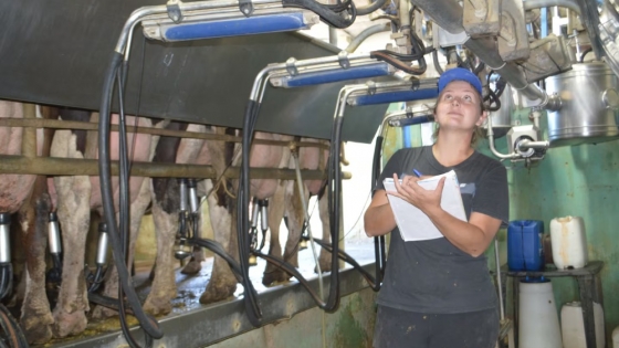 La producción de leche alcanzó su mayor rentabilidad en 5 años: cuánto es el precio en tambo y la ganancia