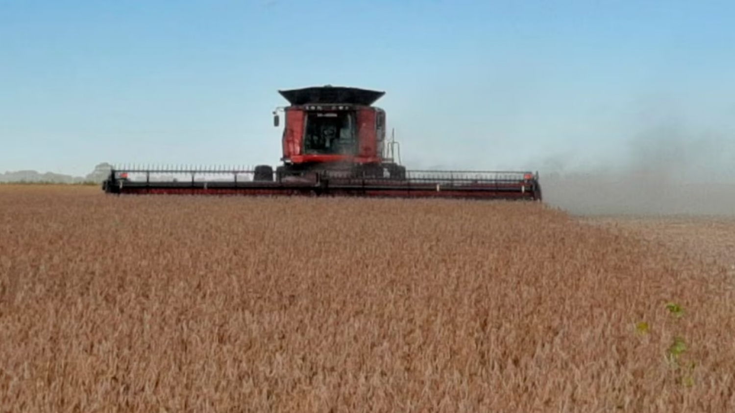 El agro recuperó rentabilidad en julio, pero los impuestos todavía se llevan más de la mitad del excedente
