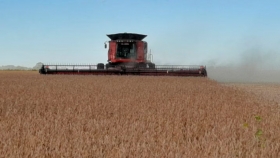 El agro recuperó rentabilidad en julio, pero los impuestos todavía se llevan más de la mitad del excedente