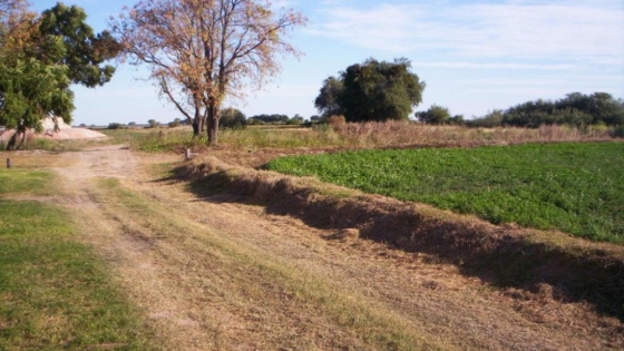 Riego en Fernández: clave estratégica para el agro en Santiago del Estero