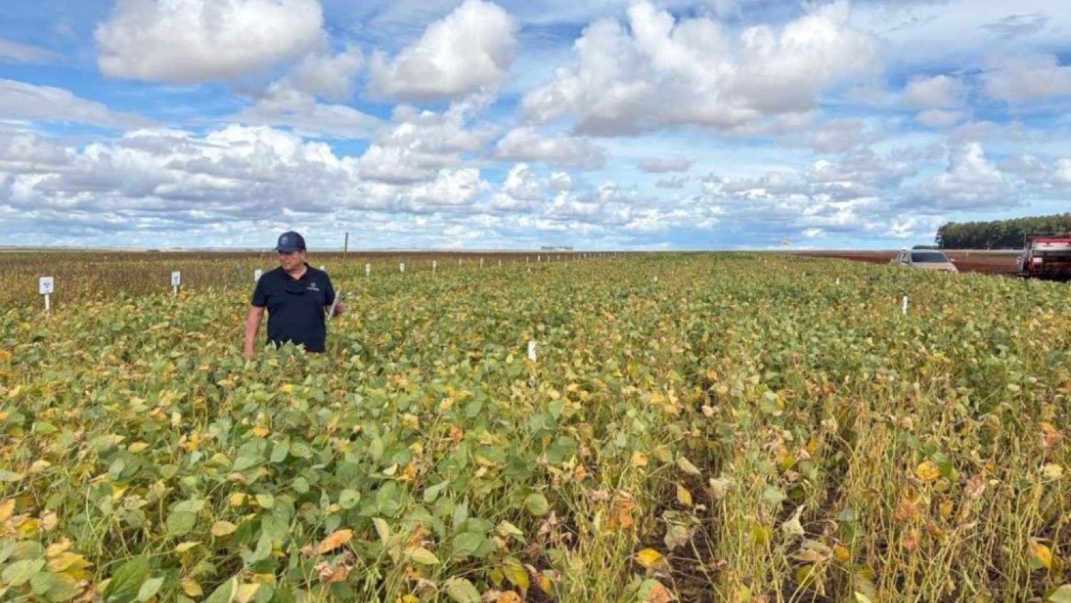 Micropep advances an AI-developed biofungicide toward market