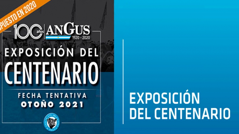 Exposición del centenario