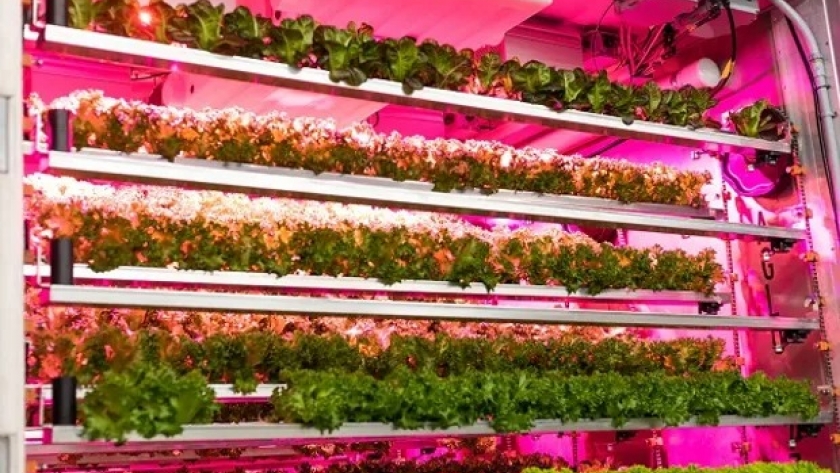 De todo tipo y tamaño: los 28 proyectos disruptivos que se presentan en el World Agri-Tech 2023 de San Pablo