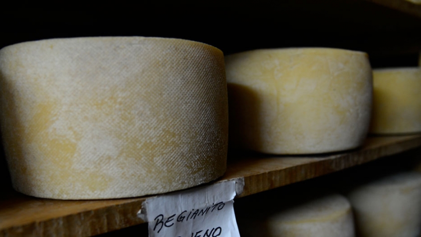 Se aprobó incorporar establecimientos lácteos de elaboración artesanal al Código Alimentario
