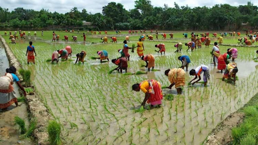 Cómo la cooperación India-Bangladesh puede superar los desafíos en el sector 