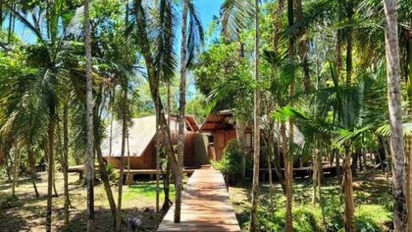 El lujo es la naturaleza: selva virgen, aves exóticas y yaguaretés en un ecolodge en Misiones
