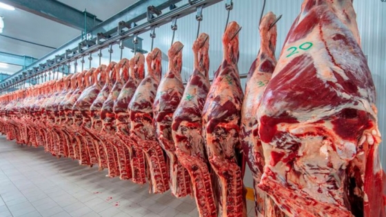 La carne argentina se encamina a un año bisagra tras el entendimiento entre la Unión Europea y el Mercosur