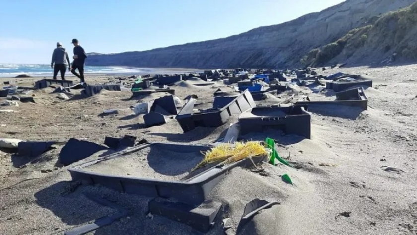 Residuos plásticos en playas de la Patagonia