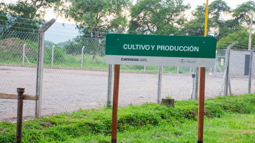 Jujuy pone en funcionamiento el primer laboratorio de cannabis medicinal del país