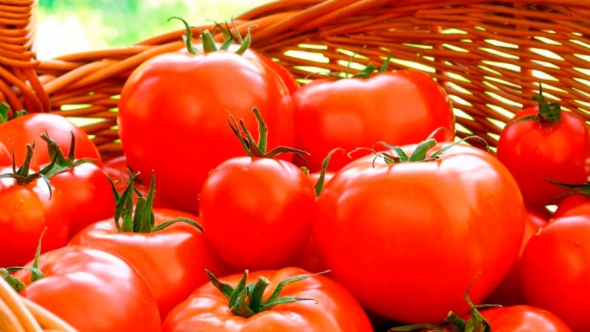 Tips para conservar mejor los alimentos