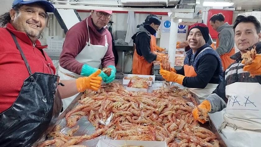 De los temas urgentes sobre langostino el CFP definió solo uno
