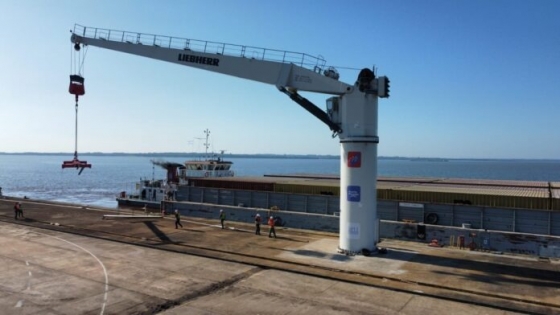 El Puerto Posadas enviará su cuarto convoy del año, con la segunda mayor carga de madera y celulosa