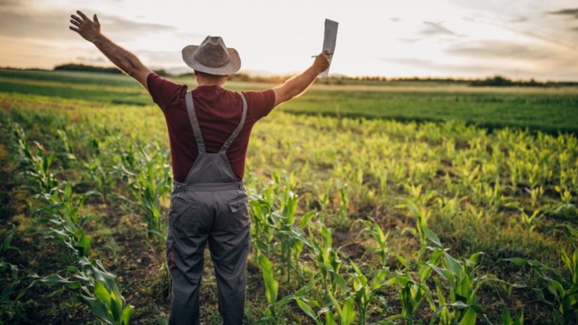 Día Del Agricultor Y Del Productor Agropecuario Por Qué Se Celebra