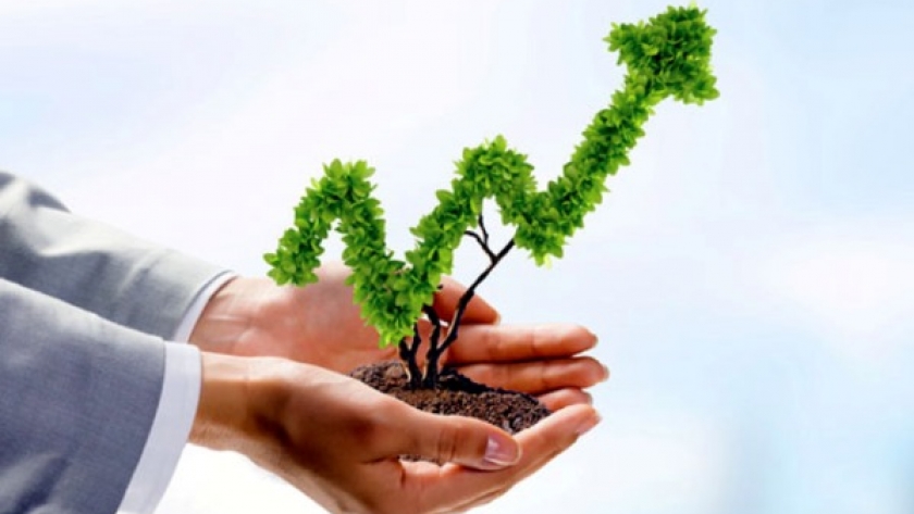 ¿Qué etapas debe atravesar una empresa para volverse Eco Friendly?