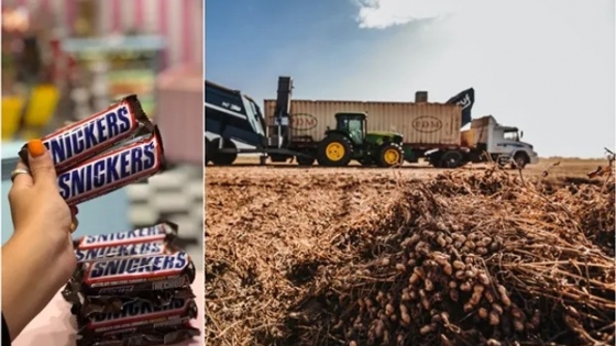 ¿Sabías que en los famosos Snickers y en los M&M’s hay maní argentino? El gigante de los snacks medirá qué tan sustentable es el cultivo en el país