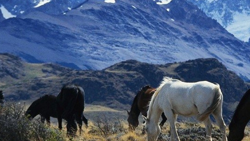 El desafío de diseñar el turismo en La Pampa