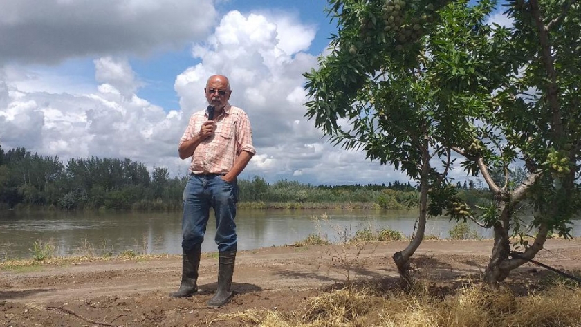 Almendros: el desafío de potenciar la producción de un cultivo regado por el río Colorado