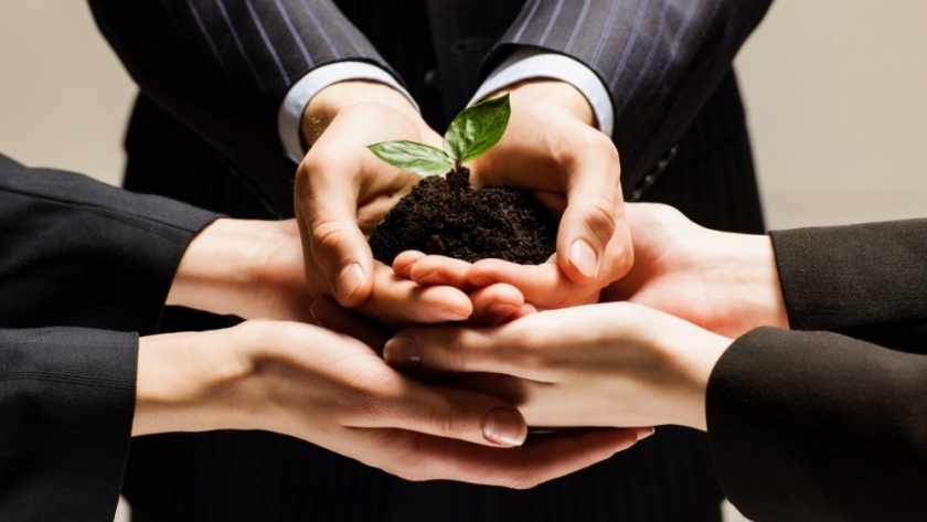 Empresas B: un enfoque empresarial con impacto social