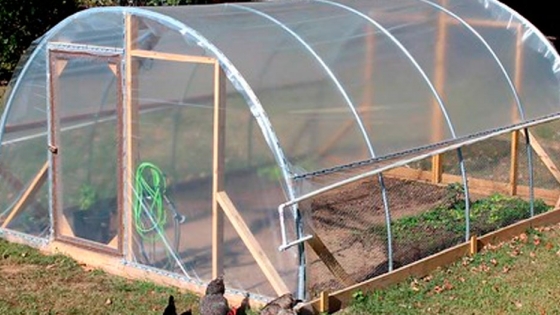 a cómo hacer invernadero casero y cultivar | Agroempresario.com