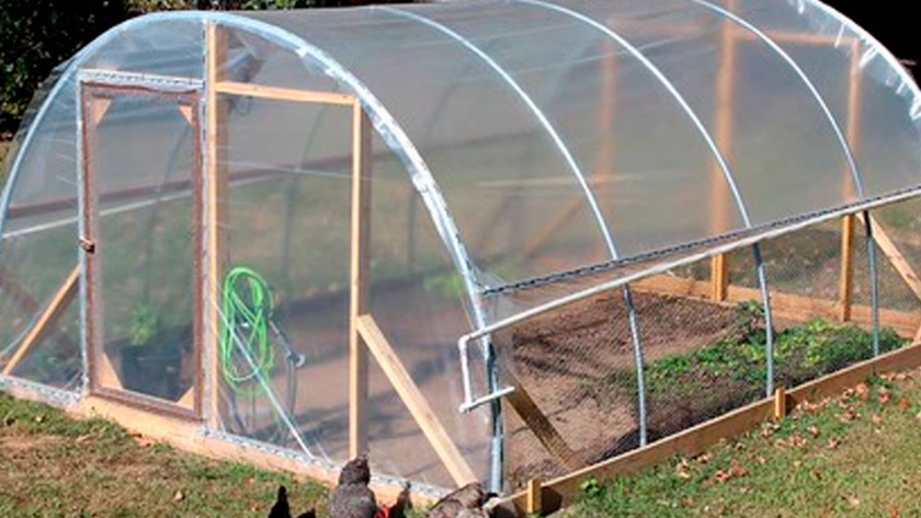 Paso a paso: cómo hacer un invernadero casero y cultivar 